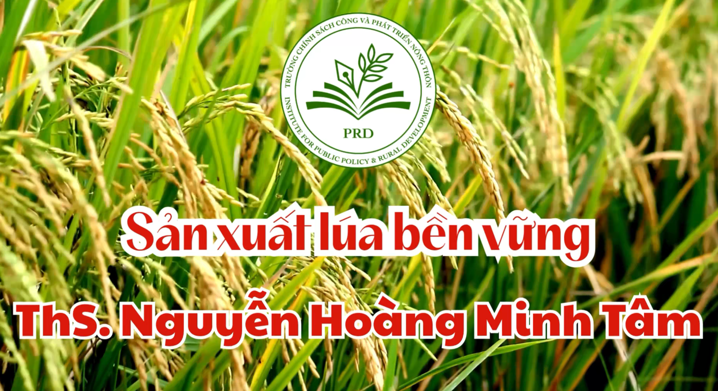 SẢN XUẤT LÚA GIẢM PHÁT THẢI