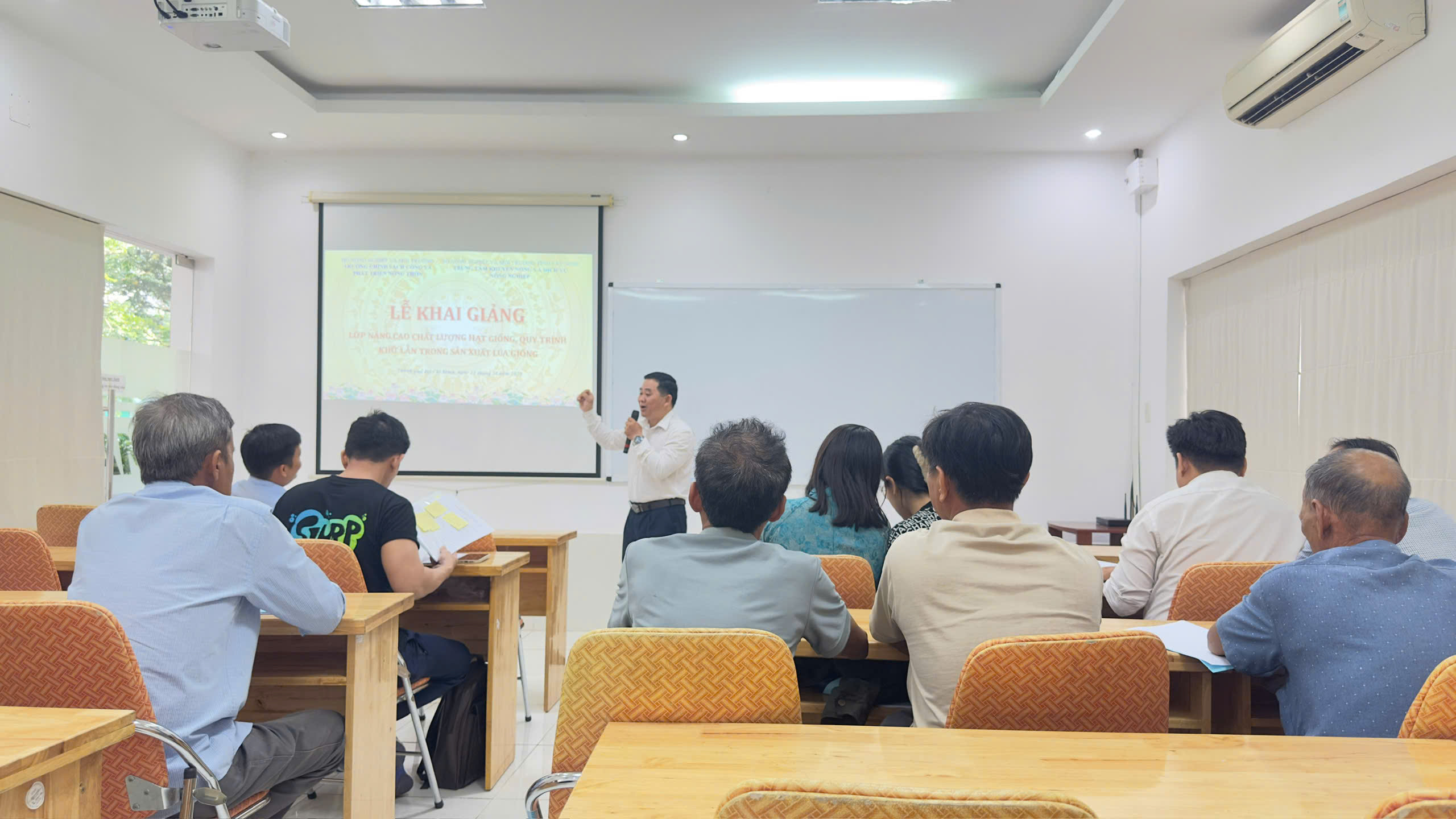 Kỹ thuật Khử lẫn và Quy trình Nâng cao Chất lượng Hạt giống Lúa